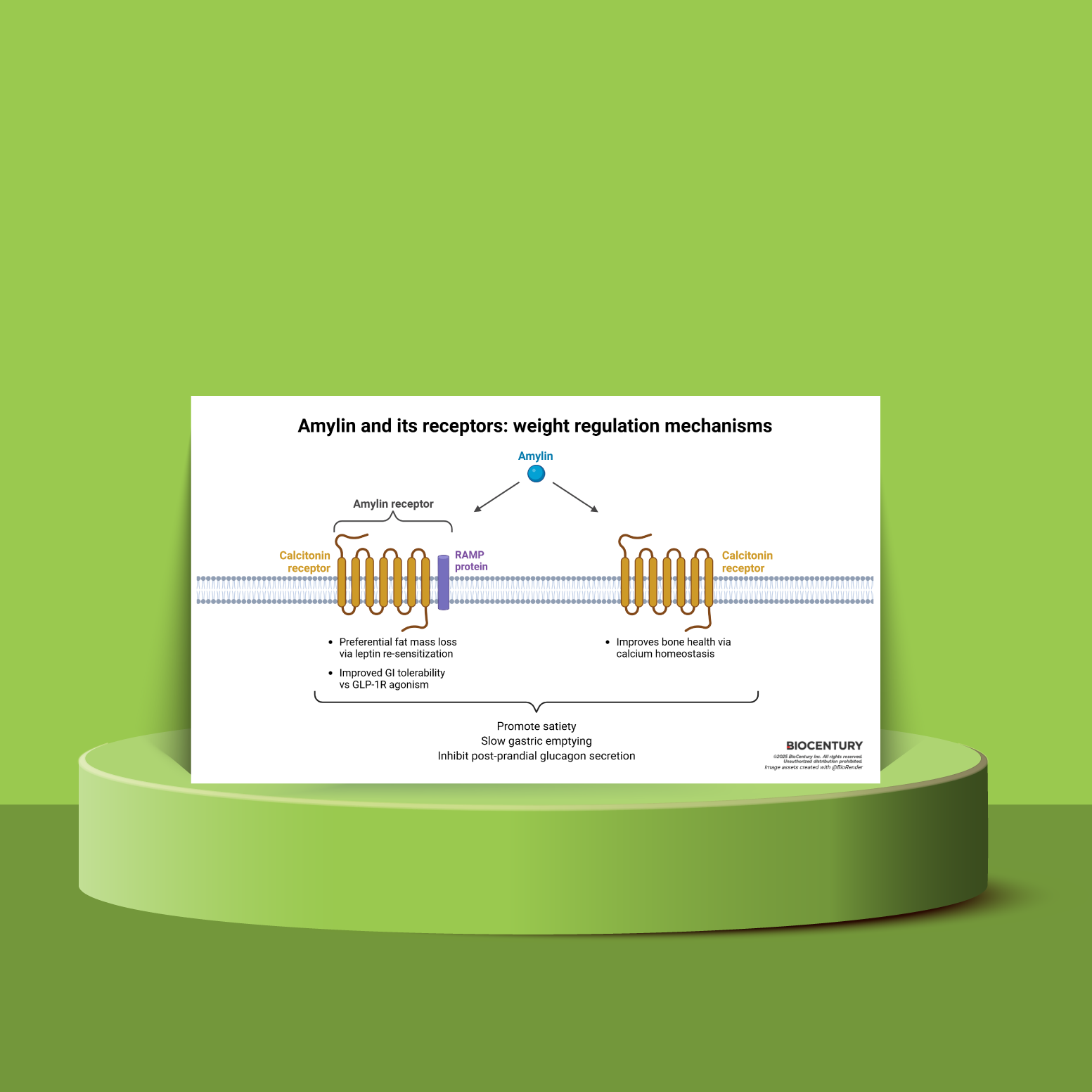 amylyx glp 1 BioCentury