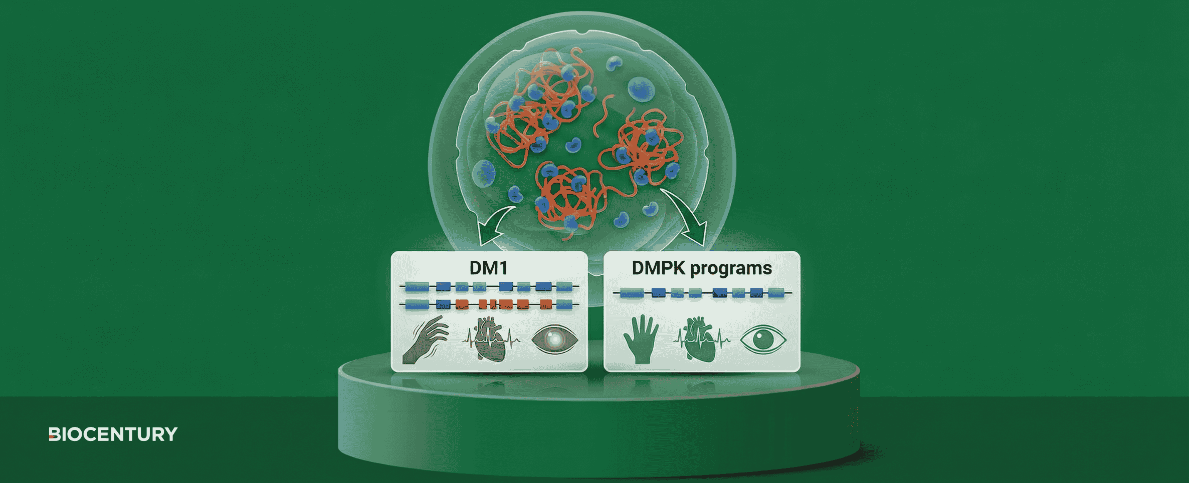 Novartis DM1 miss raises stakes for next wave of DMPK readouts
