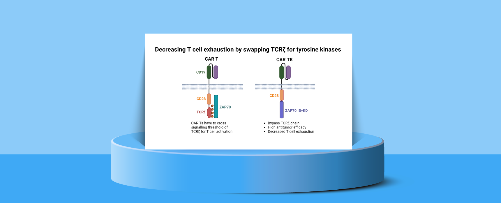 BioCentury - Science Spotlight: CAR tyrosine kinases, disrupting SWI ...